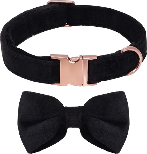 Collare per cani con papillon - per,