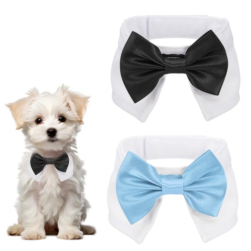 Papillon smoking per - papillon,