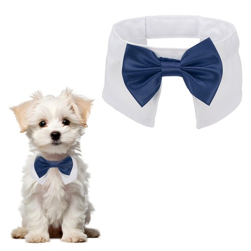Papillon smoking per - da, cani
