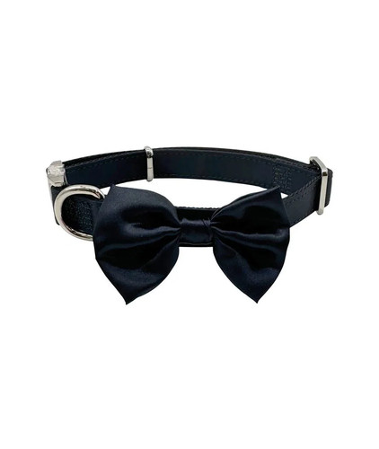Collare papillon per cani - collare,