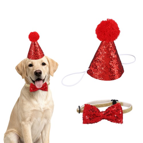 Cappello compleanno cane - compleanno,