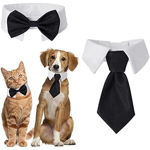 Cobee papillon per cani - papillon,