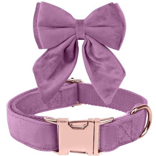Ktwsuef collare cane papillon - ktwsuef,