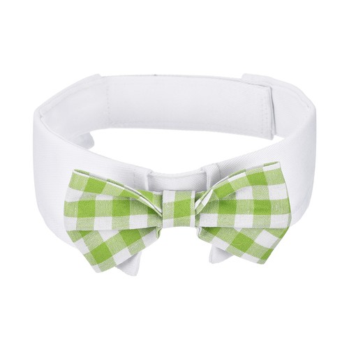 Papillon per cane - per, quadri