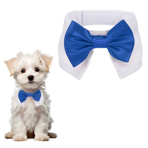 Papillon smoking per - da,
