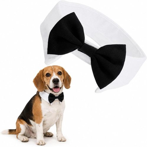 Collare con papillon per - per, cani