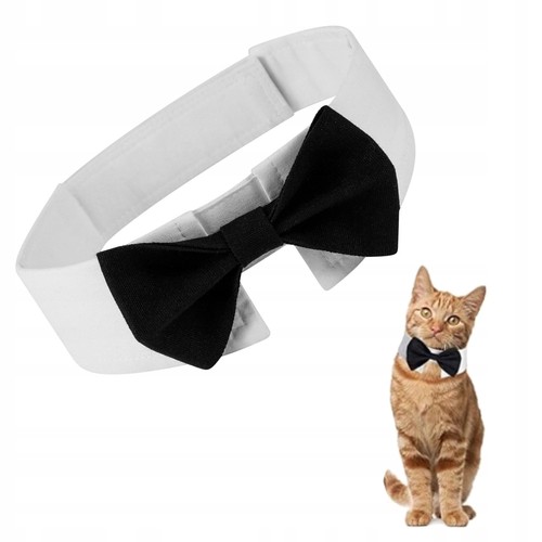 Papillon per cane - per,