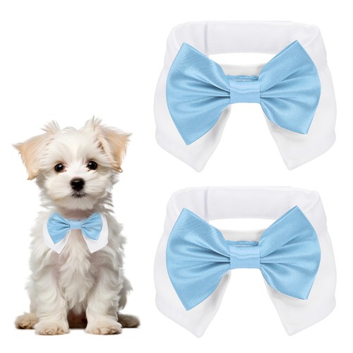 Papillon per cane - , pezzi