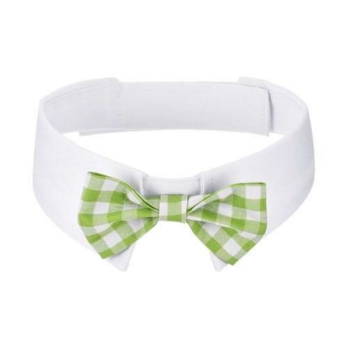 Papillon per cani - papillon, grande