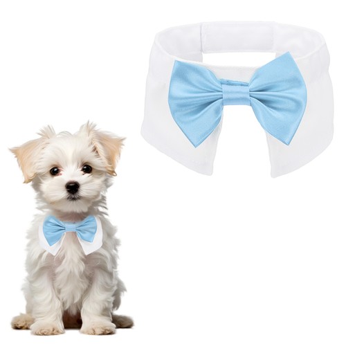 Papillon per cane smoking - da,