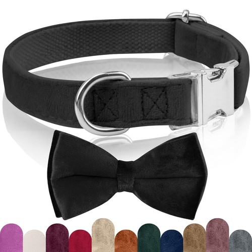 Collare cane papillon per - papillon,