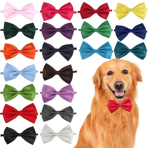 Papillon per cani con - 60,