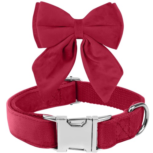 Ktwsuef collare cane papillon - ktwsuef,