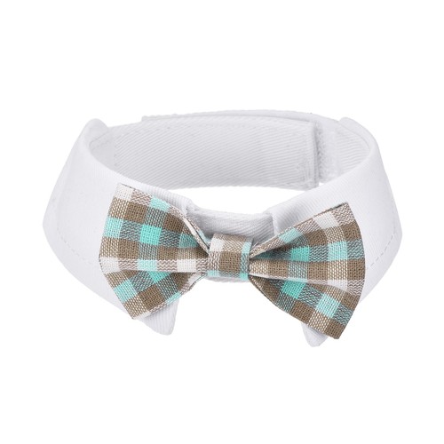 Collare con papillon per cane - collare,