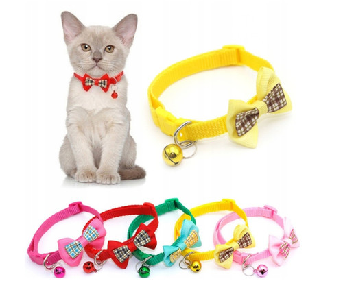 Collare regolabile gatto - gatto, cane