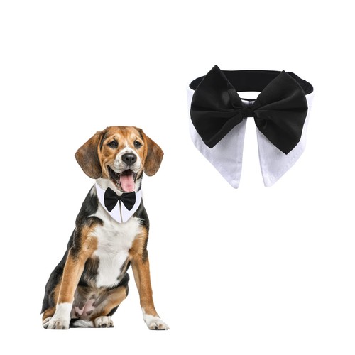 Papillon per cani smoking - per, 1