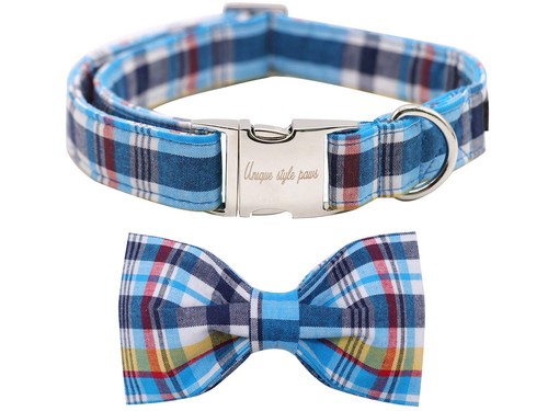 Collare per cani con - collare,