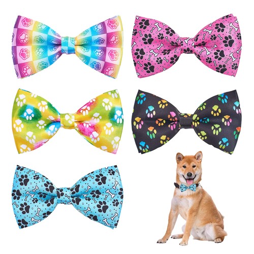 Papillon per cani - cani, di