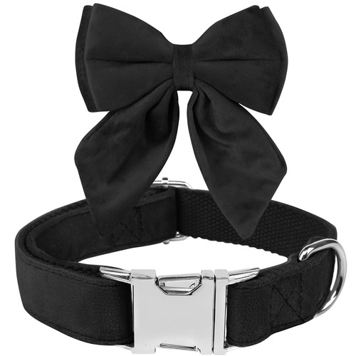 Collare cane papillon - per, cani
