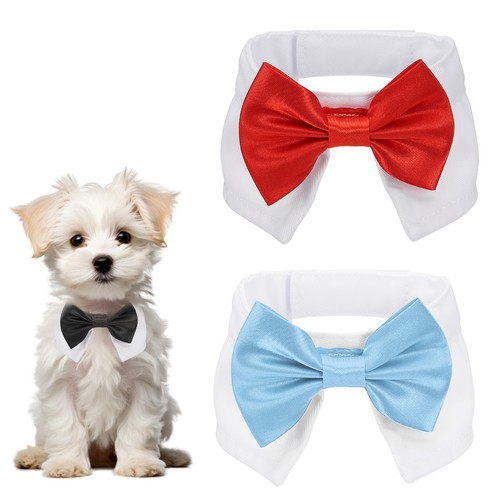 Papillon per cani - 2, pezzi