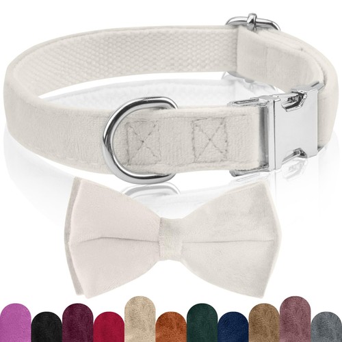 Ktwsuef collare cane papillon - ktwsuef,