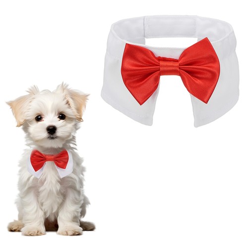 Papillon per cane smoking - per,