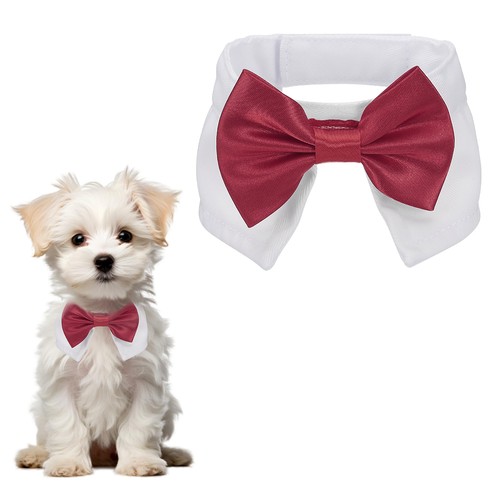 Papillon per cane - , elegante