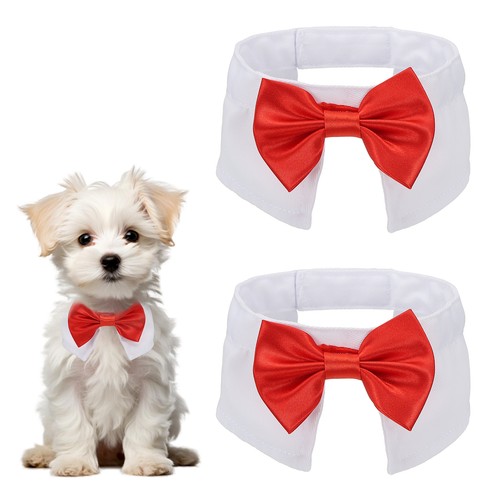 Papillon smoking per cani 2 - papillon,