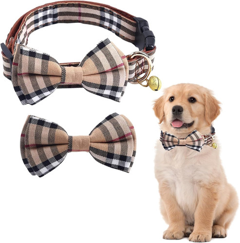 Collare per cani regolabile - collare,