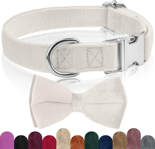 Collare cane papillon - collare,