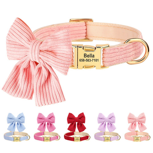 Collare personalizzato cane - collare,