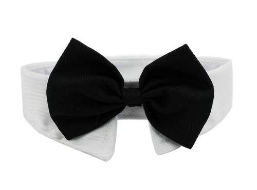 Diyafas pezzi cane gatto - cane,