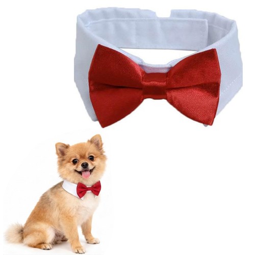Papillon cane costume per - cane,costume,