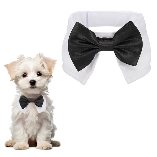 Papillon per cane smoking - cane, da