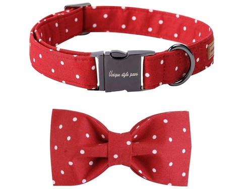 Collare per cani - collare, papillon