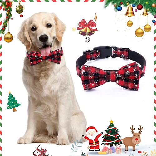 Collare per cani con - collare,