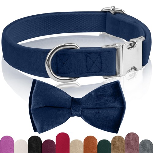 Ktwsuef collare cane papillon - collare,
