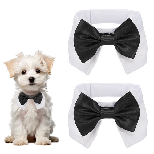 Papillon smoking per - smoking, 2