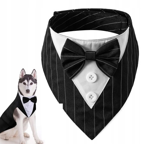 Completo papillon per - completo,