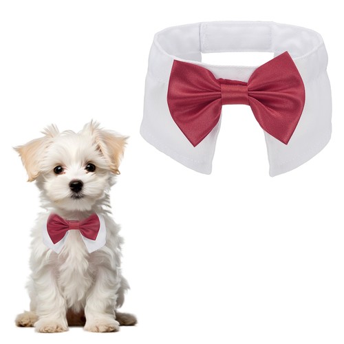 Papillon per cane cotone - per, l