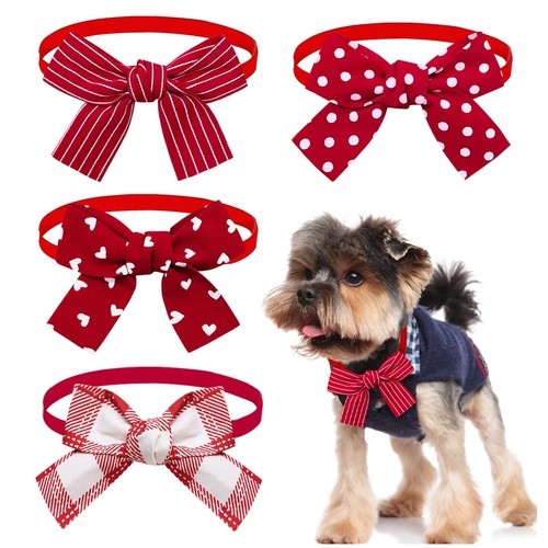 Costumes for dogs - dogs, 4
