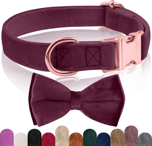 Collare cane papillon - cane,,