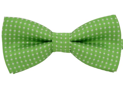 Collare con papillon - , per