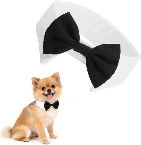 Collare papillon cane - collare,