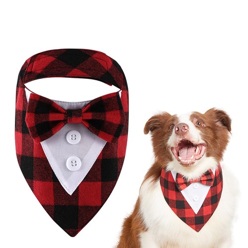 Kasesss pezzo papillon cane - 1,