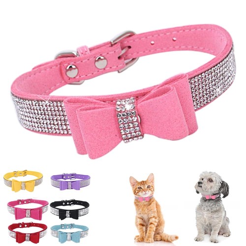 Collare per cani piccola - collare,