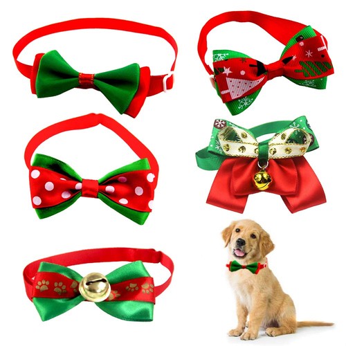 Set papillon cane - di, 5